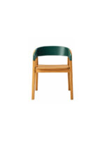 Dinning Chair